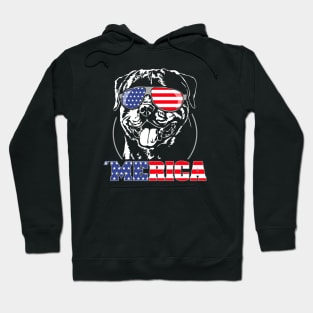 Proud Rottweiler American Flag Merica dog Hoodie